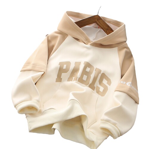 Children's Hooded Sweatshirt  Autumn/Winter New Color-blocked Sweatshirt Boys' Sport Top Long Sleeve Letter Hoodie