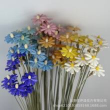 �ɻ������������r��DIY�廨���ļҾ��b[����ˇ�zӰܛ�b����