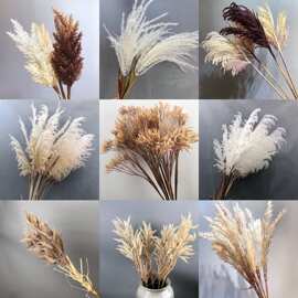 北欧干花大芦苇花落地狗尾巴草稻谷橱窗装饰麦穗酒店民宿
