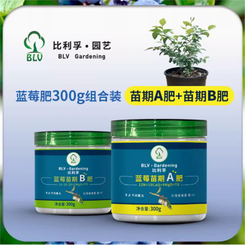블루베리 묘목을 위한 특수 AB 비료 [묘목 단계에서 특별히 생존하기 쉽고 무성한 가지]