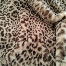 �S�ҹ��� ���yӡ����ë ���b�Ҽ���߸������ëƤ�ͺϮaƷ������