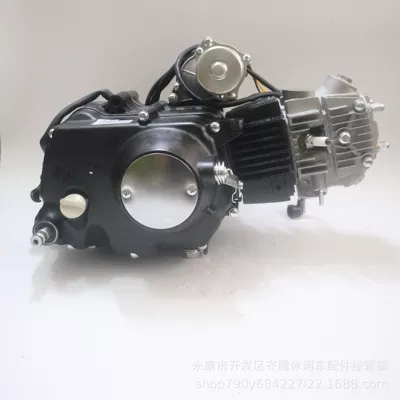 electric foot start engine – Engine assembly