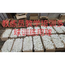 培训教练员羽毛球多球二手培训班训练业余用球教学中国不可以