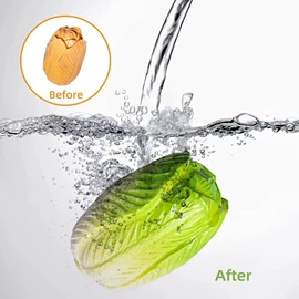 动植物仿真;仿真果蔬/食物玩具;戏水玩具