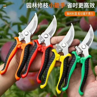 不锈钢树枝剪修枝剪园艺剪刀果园花艺专用摘果剪园林工具剪批发