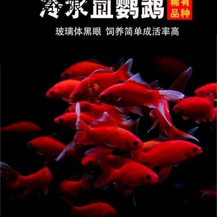 ��ˮ�W�^�~�t�~��ˮ���B�׻���ˮ�~���^�p�~���~���~�ͻ��\��