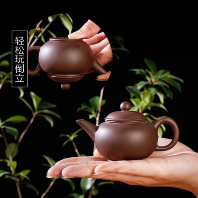 小茶壶半朱泥紫砂壶过滤泡茶壶花茶壶陶瓷茶具套装西施壶一件批发|ms