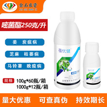 �탞���׾���250��/����̿�Ҳ���ή�����߲��׷۲��S���rș������