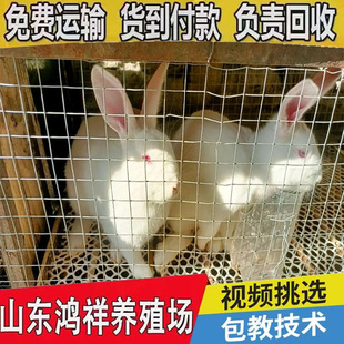 ������r��ɽ�|�S��ֱ�����������m���÷N��r��ă����������l