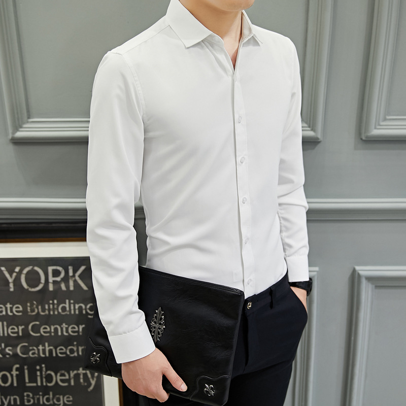 i2uUjf6mxdTrdS49SAR8xJqeM0e7Eb3Pc+97