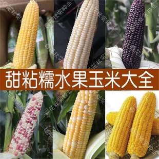 ����ˮ�����׷N�� �ļ����߲� ����ţ�̰�ճ��Ŵ��ʲ�ݮ�Ѹ߮a��