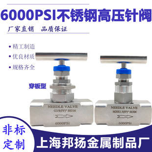 304316�߉���y6000psi�{���x���y��ҺNPT1/2���ݼy���ν�ֹ�yNV