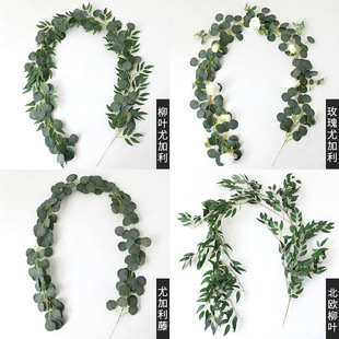 �����ȼ����ٗl��ֲ���~�������p�@��������ins���ϻ�c�����b�