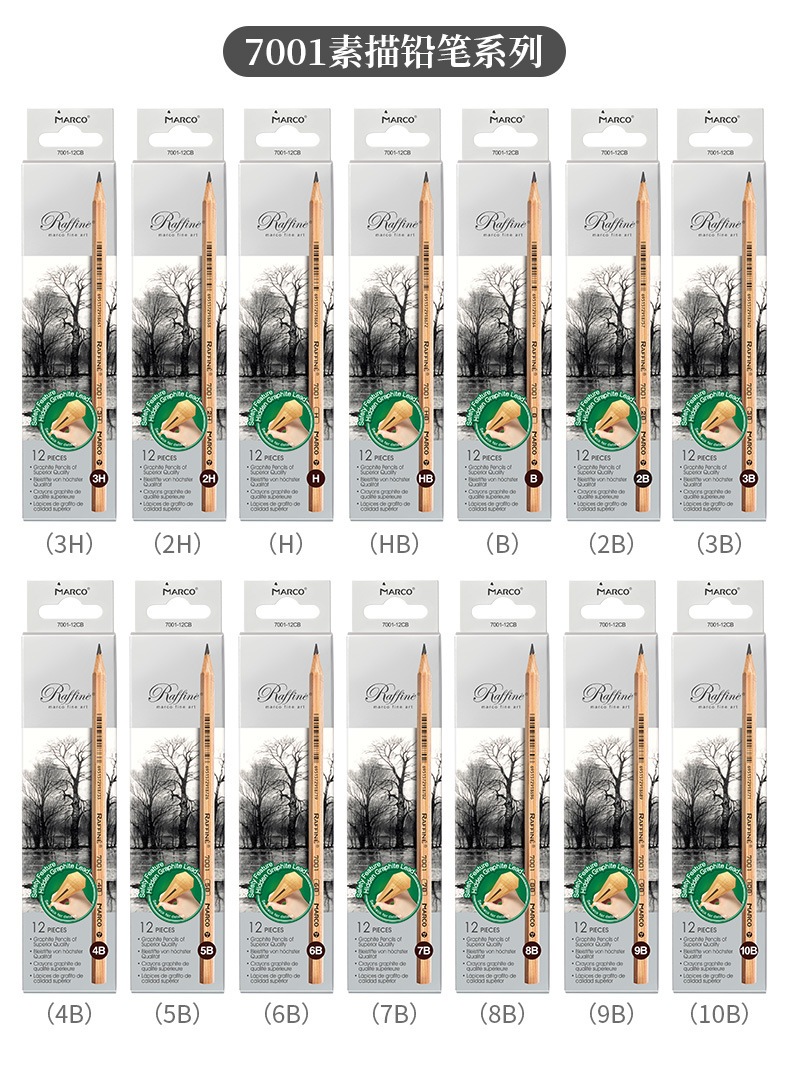 Marco profesional arte pintura registro bosquejo de carbón 2B/HB/4B/6B/8B/10B principiante llanura