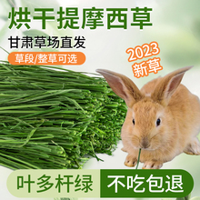 23年新烘干提摩西草段兔子干草粮兔饲料龙猫荷兰猪豚鼠牧草北提草