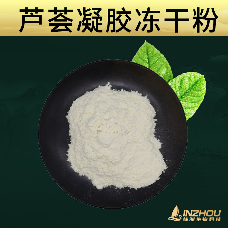 芦荟凝胶冻干粉     化妆品原料 林洲厂家 100g/袋  芦荟冻干粉
