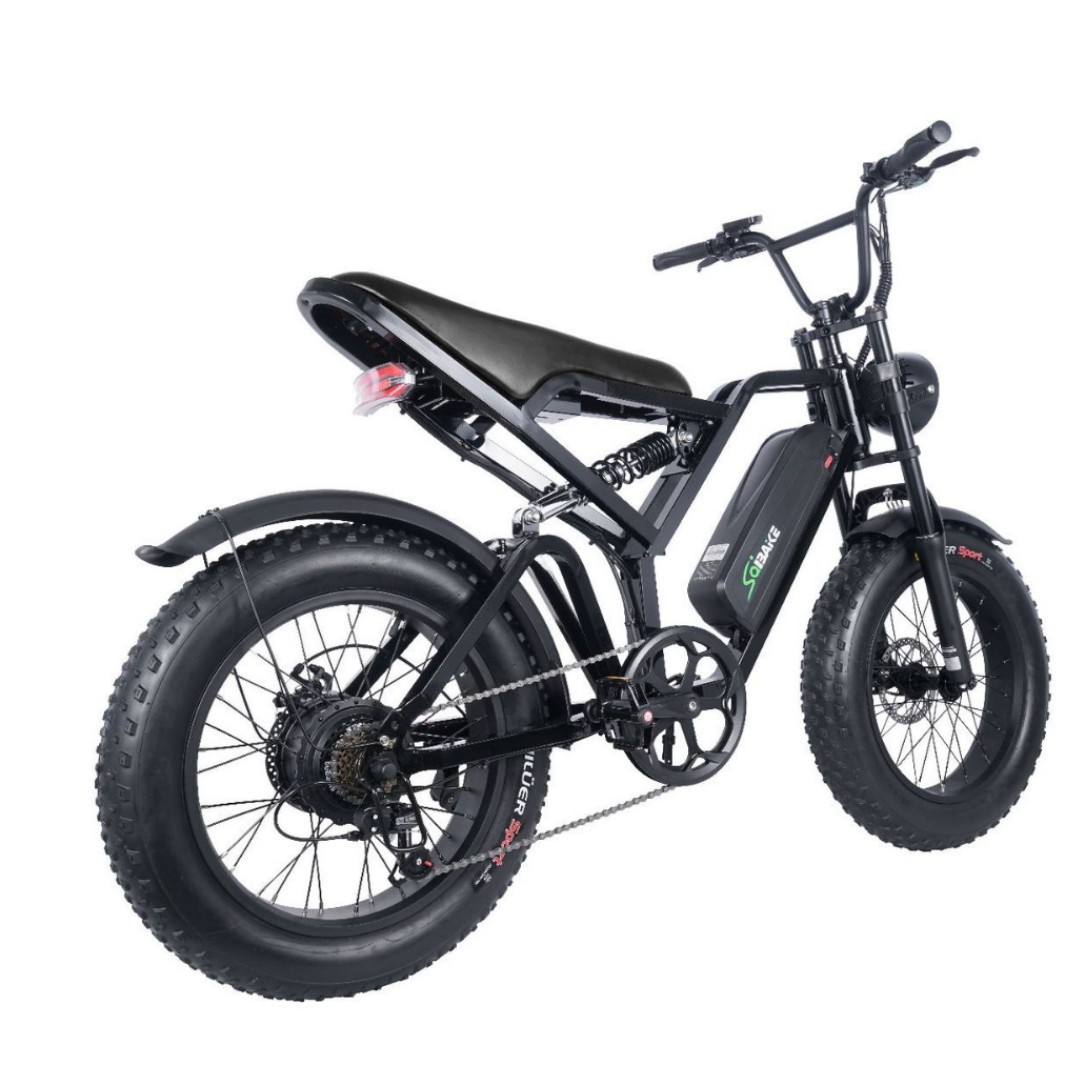 La fábrica de origen, el almacén en el extranjero, una pieza, un neumático gordo de 20 pulgadas, bicicleta eléctrica todo en uno en la playa de nieve todoterreno