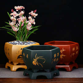 紫砂兰花盆蝴蝶兰 创意陶瓷君子兰绿萝老桩绿植园艺花卉绿植批发