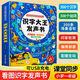 会说话的识字大王发声书3-6岁幼儿早教看图识字启蒙认知学前认字