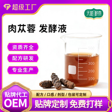 肉苁蓉提取 植物提取发酵酵素药食同源发酵原浆供应食品级肉苁蓉