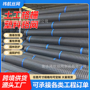 ���ڿ羳������������p������W��¹�W͸���D���W�S�ҷ�¹���ϾW