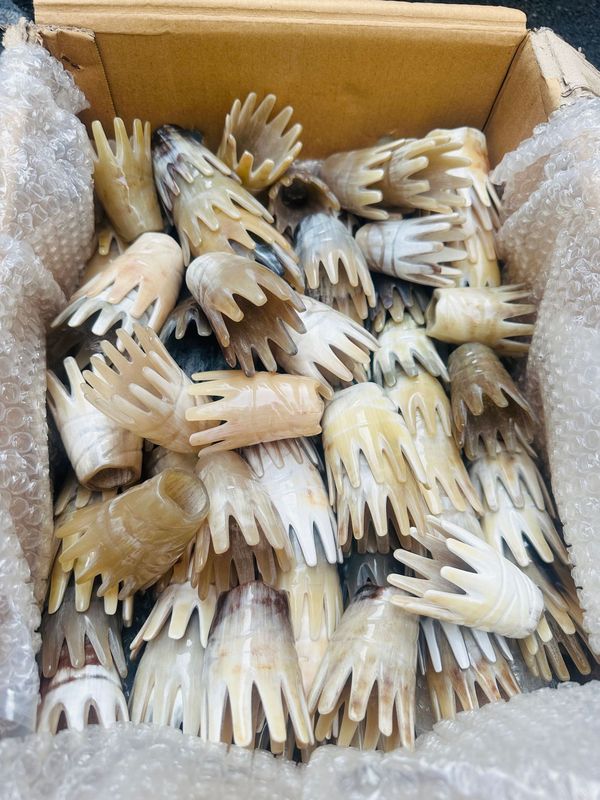 牛の角のクラウンの金の頭はマッサージして牛の角の頭を洗って両面の歯を洗って牛の角の頭のツボの櫛を洗います。|undefined
