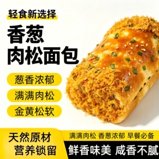 ���l���[��������ʹ������������ΌW��������k������ʳС�����e