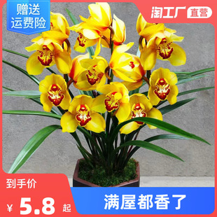 �m�����ļ��_�������ͻ��ܾGֲī�m�����m�����m���Ժ��B�̨�͏d