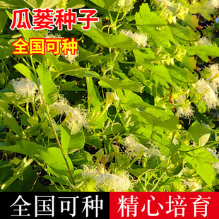 ���V�߮a�N�Ӳ�Ұ�����V�Ϲϵ�����Ǵ����ļ�ͥԺ�̨���Բ��N��