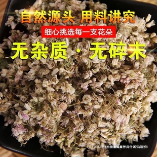 �˰��]�黨Ұ��50����2024���ɻ��������黨��Ұ�²˻�ɽ����ժ�\