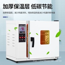 電熱鼓風干燥箱恆溫實驗室不銹鋼烘干箱小型家用烤箱高溫工業烘箱