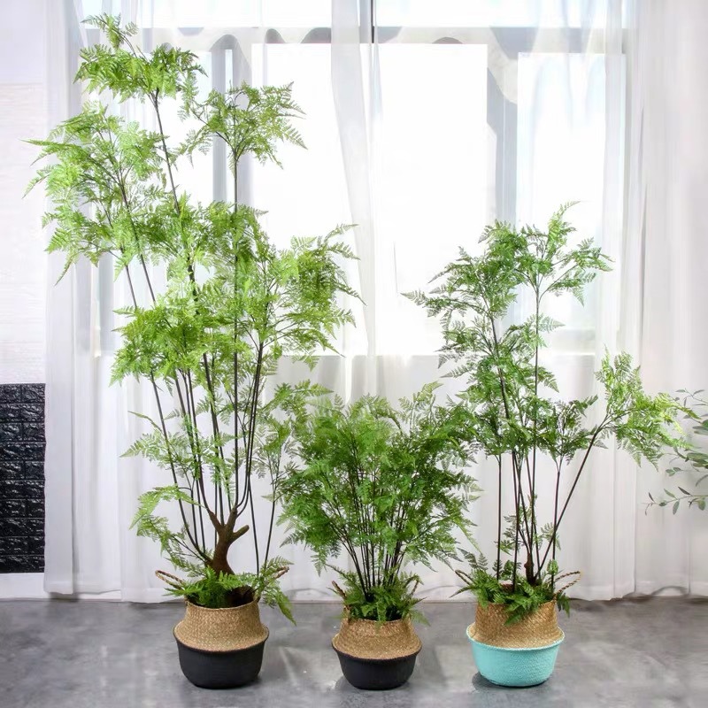 微信图片_201911291434582