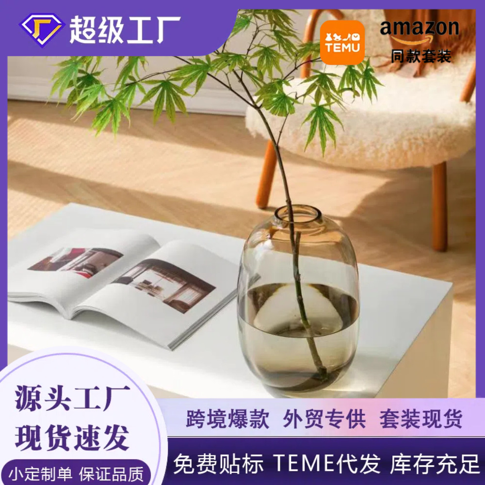 Nórdico gran vientre florero de vidrio hidropónico de alta calidad en línea estilo de la celebridad hogar sala de estar decoración ins estilo reloj colgante