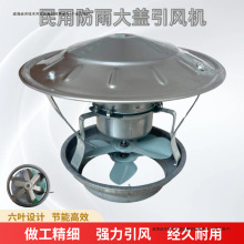 ßLCşCͨLʟͲ𿻠tLC