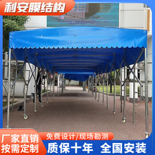 ���͏S��늄��������Ƅ���s��������������������S�Ҷ� ��