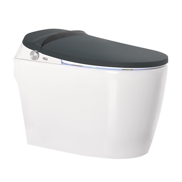Inodoro inteligente verde oscuro sin tanque de agua integrado flip automático control remoto temperatura constante inodoro caliente instantáneo versión de alta gama