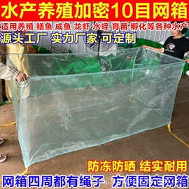 抄网头;抄网;渔业用具