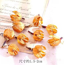 ��Ȼ�ɹ����ǧ�y���׃��@�ֹ����������bɹ���