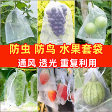 草莓葡萄水果网纱套袋防虫防鸟透气网纱袋透光无花果抽绳束口套袋