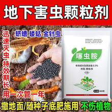 ����ͬ�����x�����º��x��ʩ�w�������ᙉ���r�ùϹ��߲˼t�����