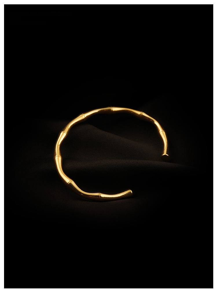 Elegant Bamboo Titanium Steel Plating Bangle display picture 1