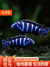 ���{���R���������Ꭷ�^�p�~ˮ����w�~���җ��̹���~���B�G��