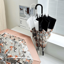 ��ϵ؈�����ZС������ˇ�����ˌW����ͯ�Ԅ��p�����ۯB͸�����Ů