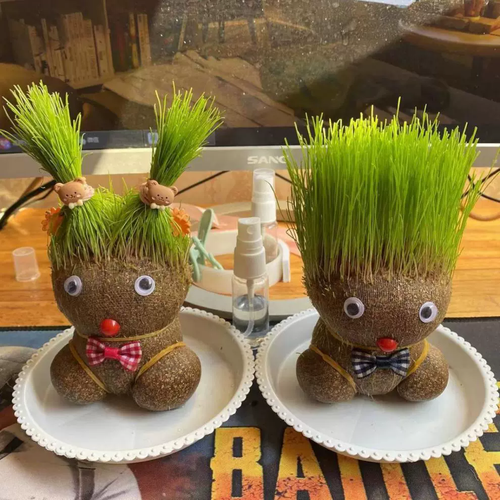 [批发草头娃娃浇水头上长草人绿植长头发儿童好养种草幼儿园桌面小]