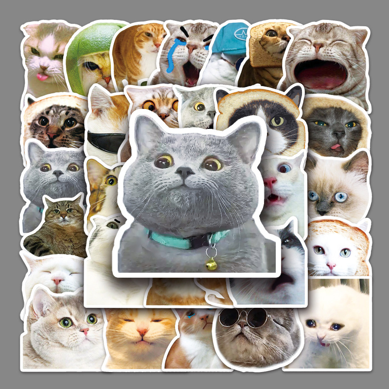 50 cat expression bag funny creative children diy notebook mobile phone case water cup hand ledger sticker waterproof 50 cat expression bag funny creative children diy notebook mobile phone case water cup hand ledger sticker waterproof