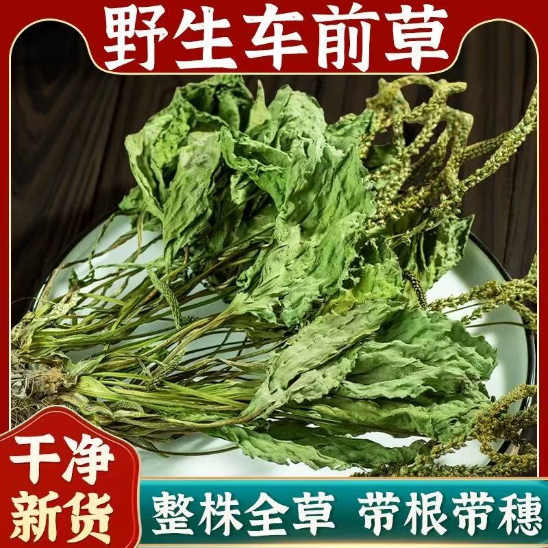 Wild Plantain Chinese Herbal Medicine 500G/250G Plantain Washed Plantain Dried Goods Pig Ear Plantain