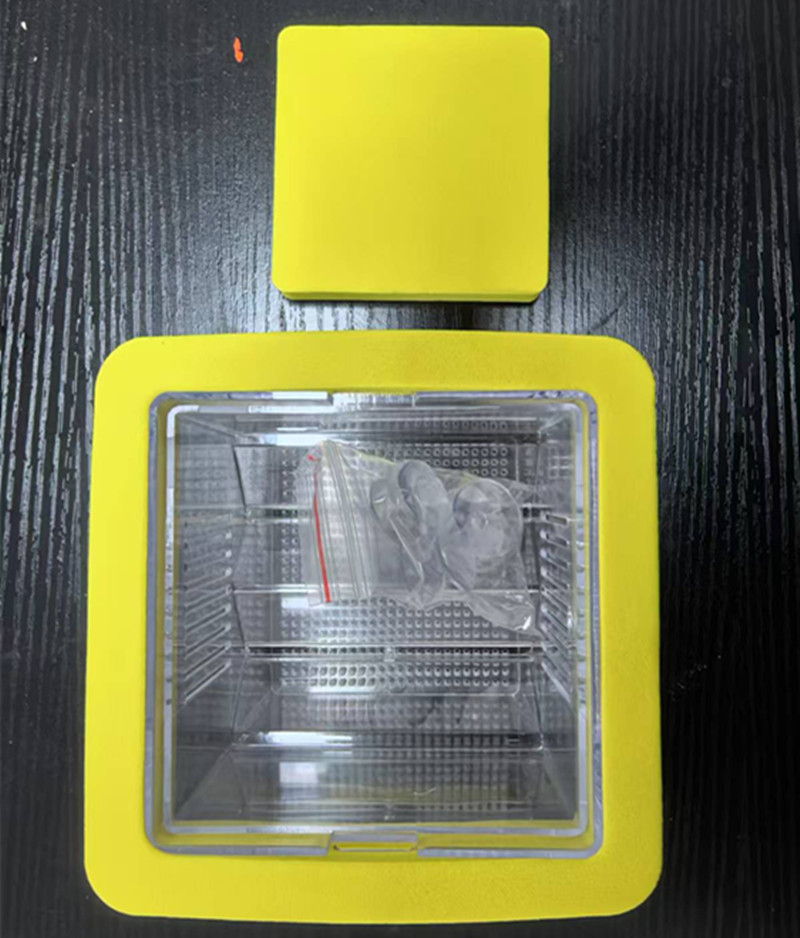 Caja de aislamiento de incubación flotante cuadrada (amarillo)