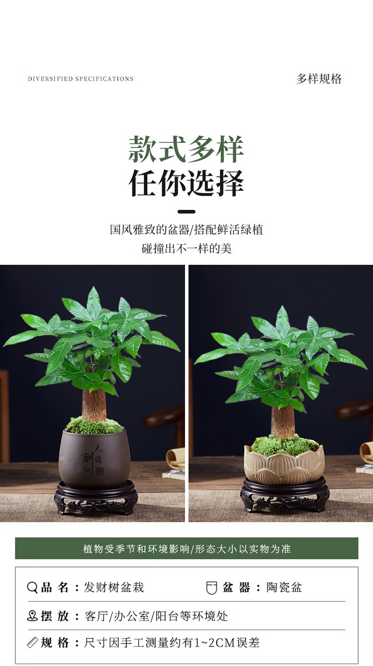 731214176074d3975b076-2538-415