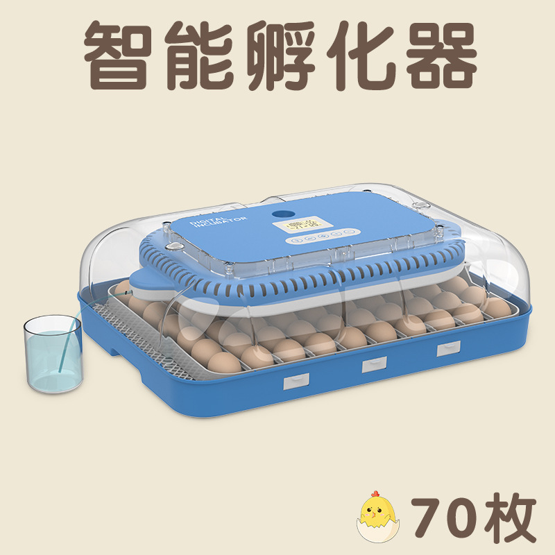 新型国境を越えたアマゾン全自動小型知能電気家庭用鶏鴨ガチョウ恒温孵化器孵化器|undefined