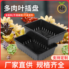 ���ܶ�������P�~�����L�����бPǤ���������P���N�軨���~��P